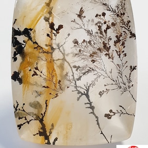 Dendritic Faceted Quartz with Brazilian Iron Oxide dim 37 x 29 x16.5 mm weight 130.15cts for collectors of large pieces