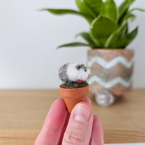 May include: A small, hand-felted animal figurine in a miniature terracotta pot. The animal is white with black and gray markings and red accents. The pot is filled with green felt.