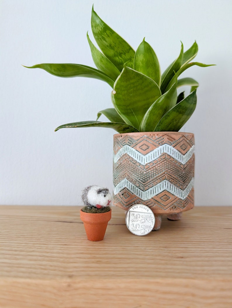 May include: A small, felted guinea pig figurine in a terracotta pot, next to a larger potted snake plant with green and white variegated leaves. The snake plant is in a terracotta pot with a geometric pattern and a coin with the inscription "Ten Pence" is on the table.