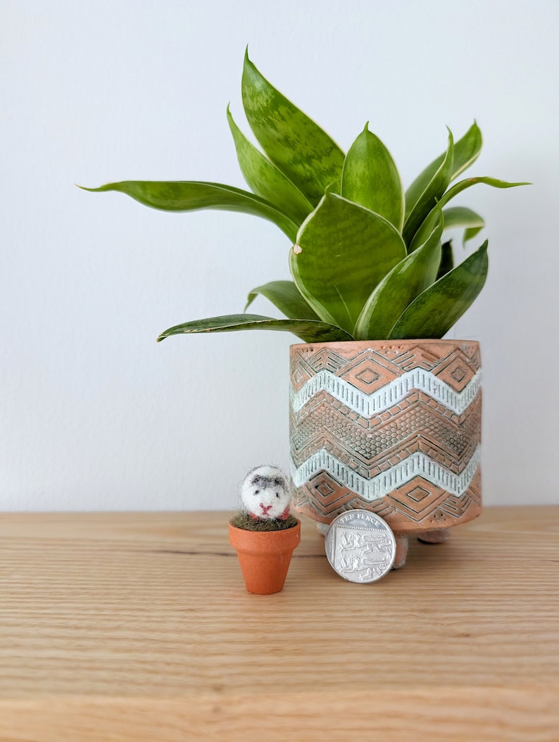 May include: A small, white and gray felt animal in a terracotta pot, next to a larger potted snake plant with green leaves and a patterned terracotta pot. A silver coin is on the table.