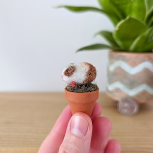 May include: A small, brown and white guinea pig figurine is sitting in a terracotta pot with green moss. The pot is being held by a hand.