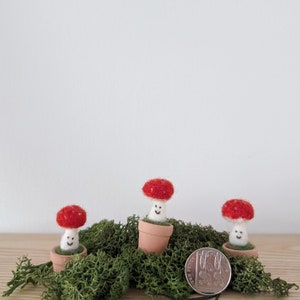 Puede incluir: Tres peque&ntilde;as figuritas de champi&ntilde;ones de fieltro con sombreros rojos y caras sonrientes blancas est&aacute;n en macetas de terracota y colocadas sobre un lecho de musgo verde. Una moneda de plata est&aacute; en primer plano para la escala.