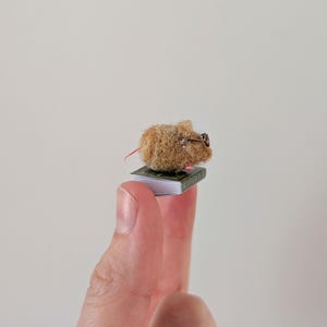 A persons fingers holding a Needle felt mouse wearing spectacles sat on top of a book. Miniature mouse gift suitable for book lovers.