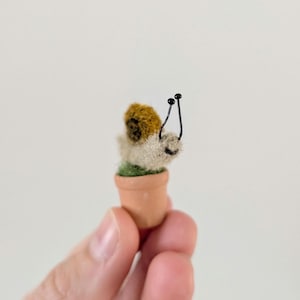 Mini Snail gift, needle felt handmade miniature decoration