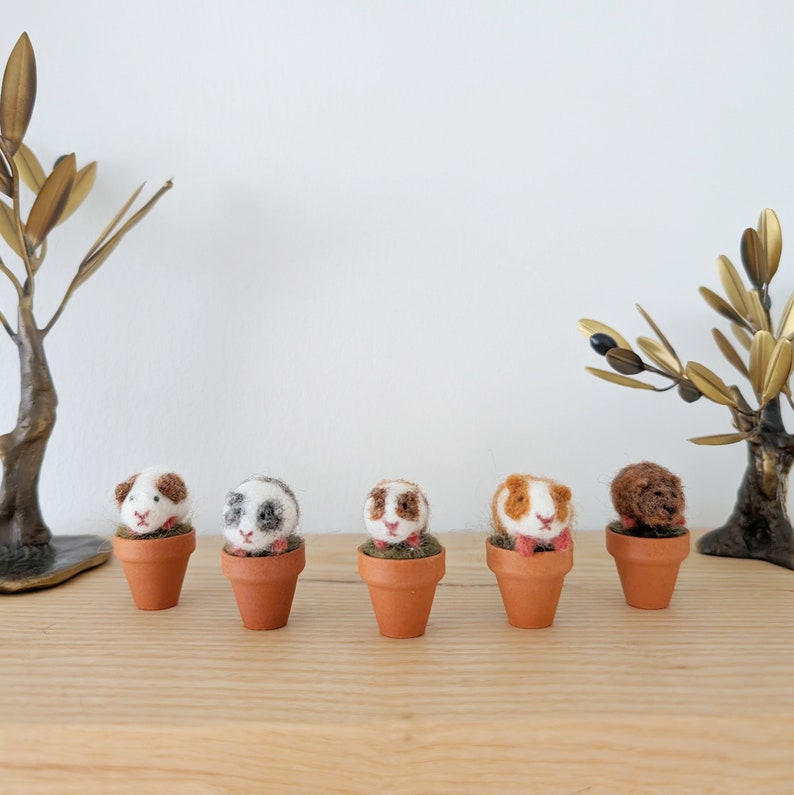 May include: Five small, hand-felted guinea pigs in terracotta pots. Each guinea pig is a different color and pattern, including brown, white, black, and orange.