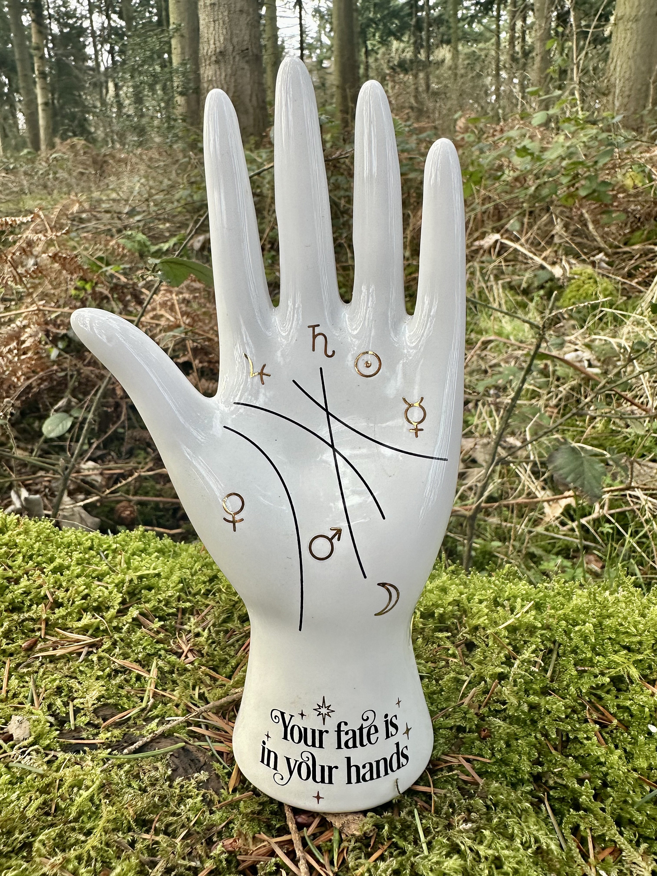 Palmistry Hand Ornament UK