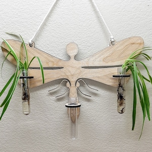 Dragonfly propagation station, Indoor planter, Wall hanger