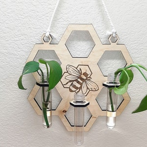 May include: Wooden honeycomb wall hanging with three glass test tubes for plant propagation. The honeycomb design is laser cut and features a bee illustration.
