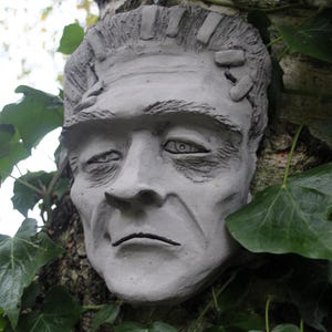 May include: A gray, sculpted face of Frankenstein's monster, with visible stitches on the forehead, is attached to a tree trunk. The face is partially obscured by green ivy leaves.