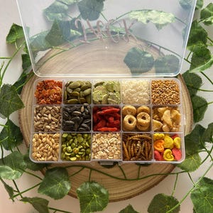 personalised hamster treat box (large) | hamster treat, small animal treats