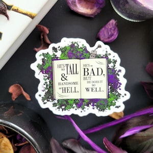 Bad Boy Book Boyfriend Aufkleber, Er ist so groß und schön wie die Hölle Wildest Dreams Taylor Swift Songtexte, Geschenk für Romantasy Leser & Swifties