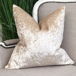 Champagne crushed velvet throw hotsell