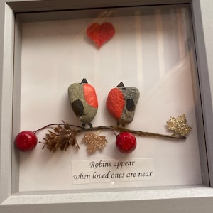 Pebble Robin Christmas art deep frame picture
