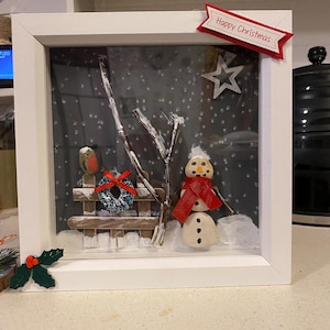 Pebble Robin Christmas art deep frame picture