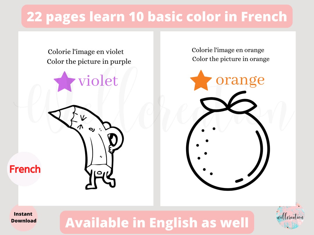 22 Pages Basic Color in French Worksheets10 Basic French Etsy