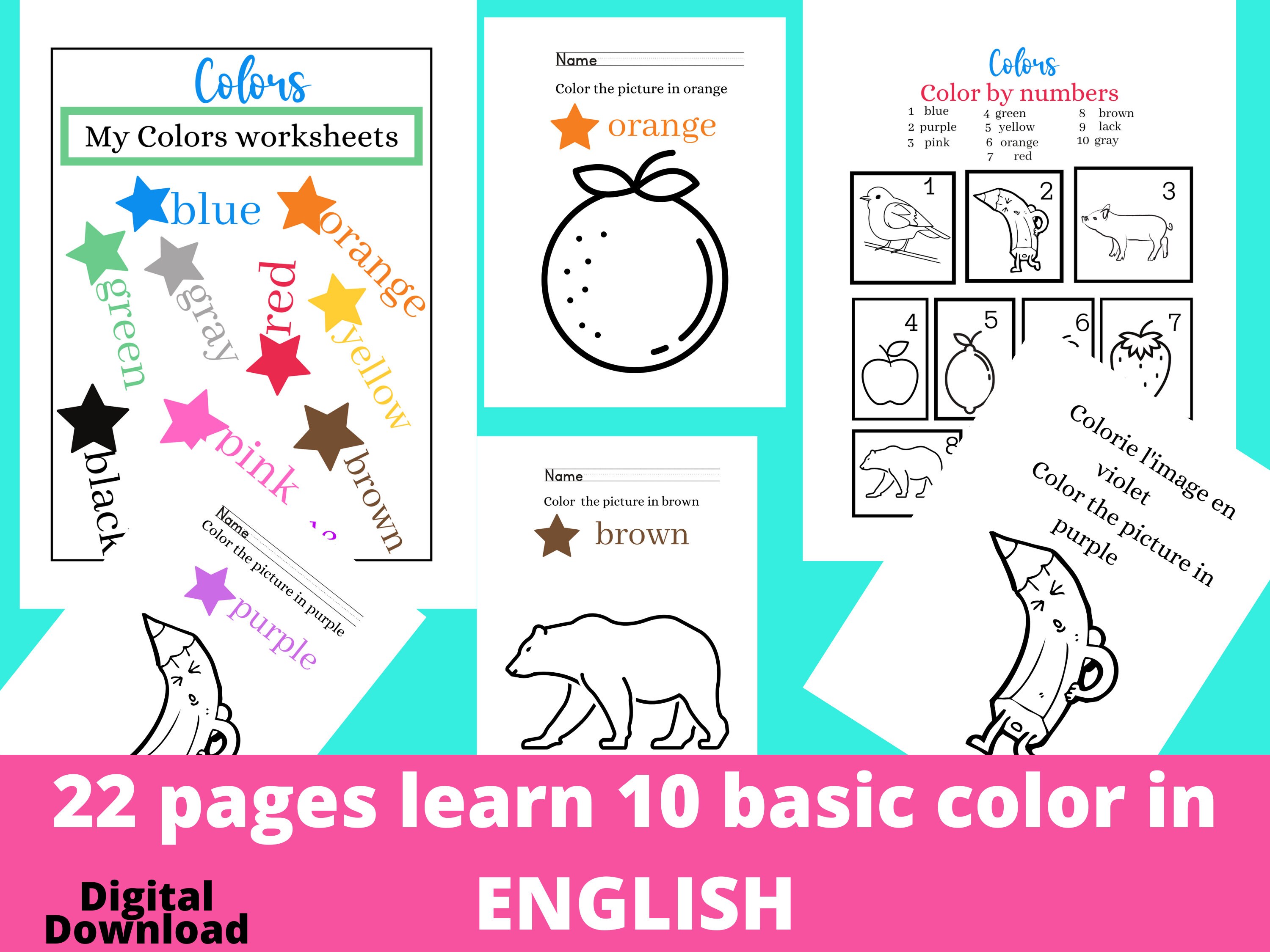 22 pages basic color in english worksheets10 basic english etsy