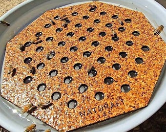 Naturaft Floating Pollinator Island for Bees |Eco-Friendly Cork Bee Waterer | Bee Drinking Station | Bee Raft | Pollinator Hydration