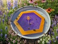 Floating Bee Island with Bee Mosaic: 3D-Printed Waterer