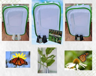 Monarch Butterfly Raising Kit- Butterfly Raising Kit, Milkweed Floral Tube Holder, Floral Tube Holder, Butterfly Kit Butterfly Enclosure Diy
