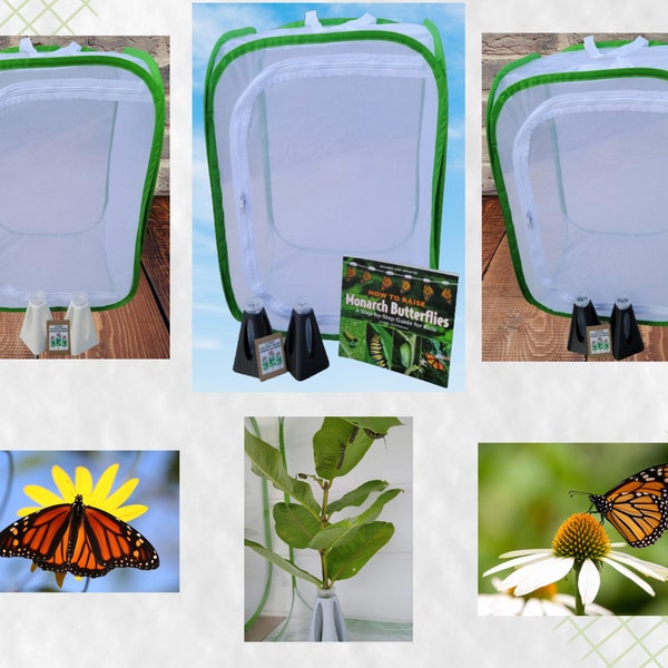 Monarch Butterfly Raising Kit- Butterfly Raising Kit, Milkweed Floral Tube Holder, Floral Tube Holder, Butterfly Kit Butterfly Enclosure Diy