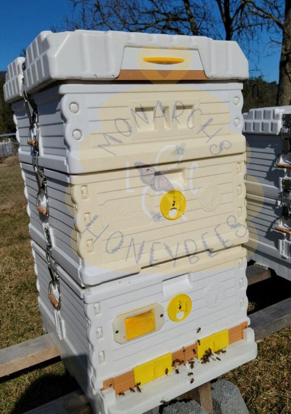 Apimaye Front and Back Vent Cover