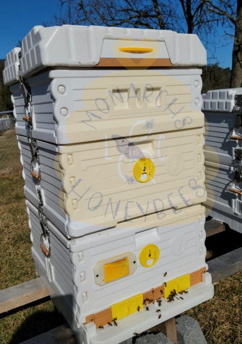 May include: A white beehive with a yellow and brown top. The beehive has a sign that says "Monarch Honeybees". There are bees flying around the bottom of the beehive.