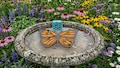 Butterfly Floating Pollinator Island: Bee Waterer, Bird Bath, Monarch Butterfly