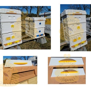 May include: Four white beehives with yellow and blue accents. The beehives are stacked on top of each other and have a logo that says "Monarch Honeybees" on the side. The beehives are sitting on a wooden platform.