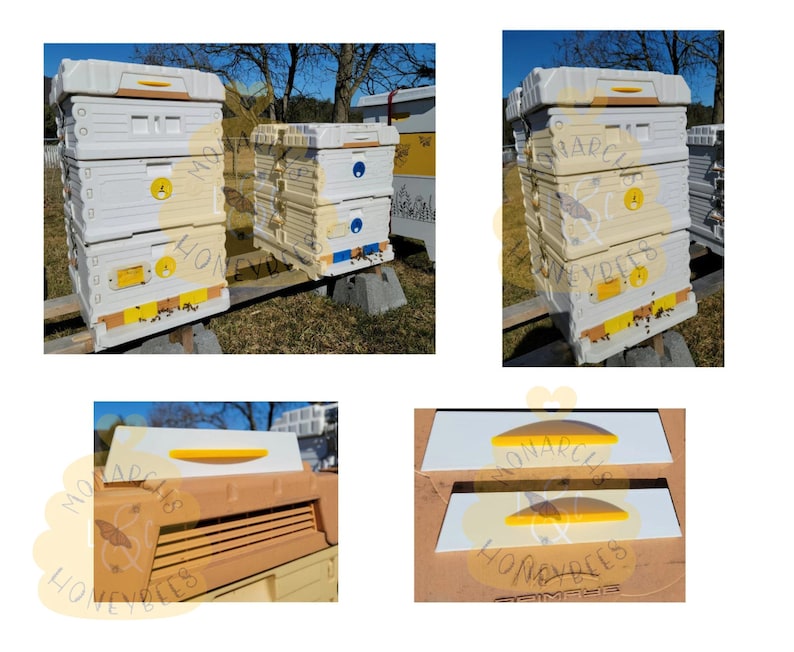 May include: Four white beehives with yellow and blue accents. The beehives are stacked on top of each other and have a logo that says "Monarch Honeybees" on the side. The beehives are sitting on a wooden platform.