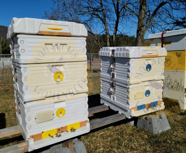 May include: Two white beehives with yellow and blue accents. The beehives are stacked on top of each other and have the words "Monarch Honeybees" written on them.