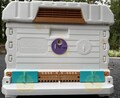 Apimaye Custom Color Slider Doors and Opening Disc