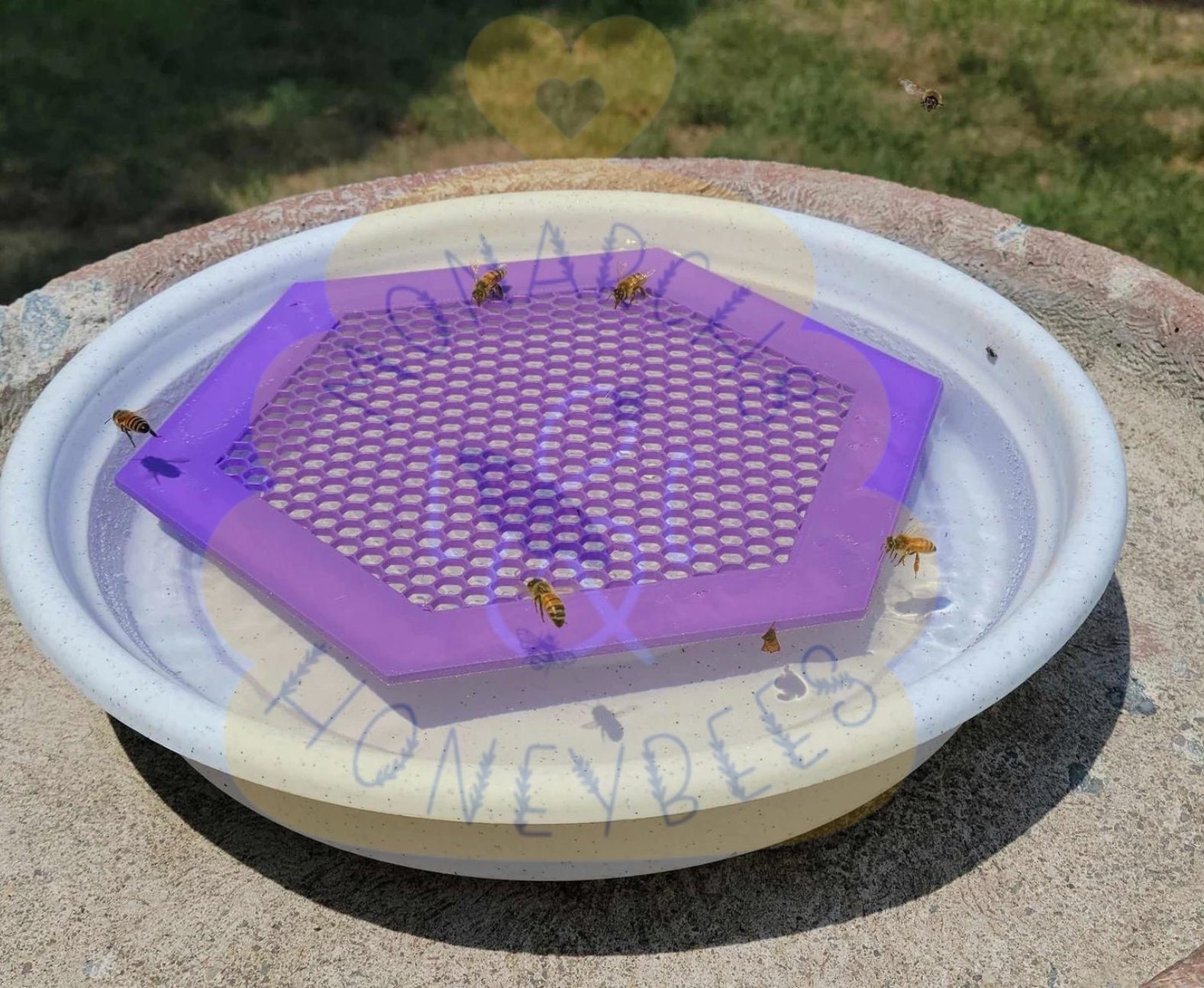 Îlot Flottant Pour Abeilles – Abreuvoir 3D Pour Pollinisateurs, étanche, Facile à Installer