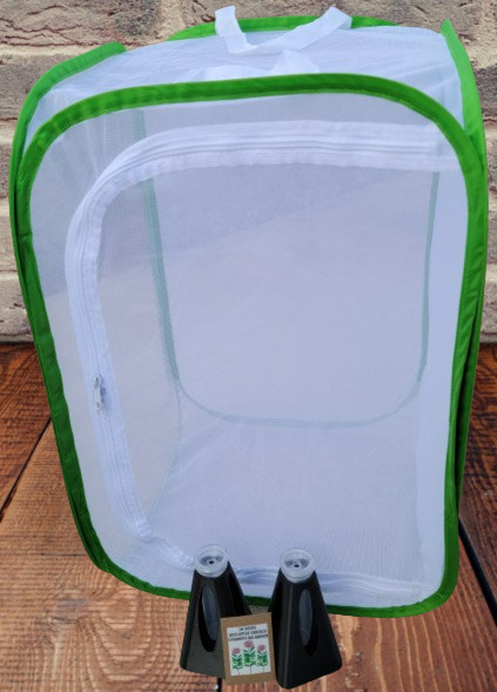 Monarch Butterfly Raising Kit Butterfly Raising Kit Milkweed Etsy