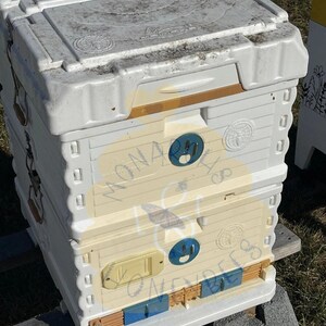 May include: A white beehive with a yellow and brown base. The beehive has a white lid with a circular design. The beehive is sitting on a gray concrete block.