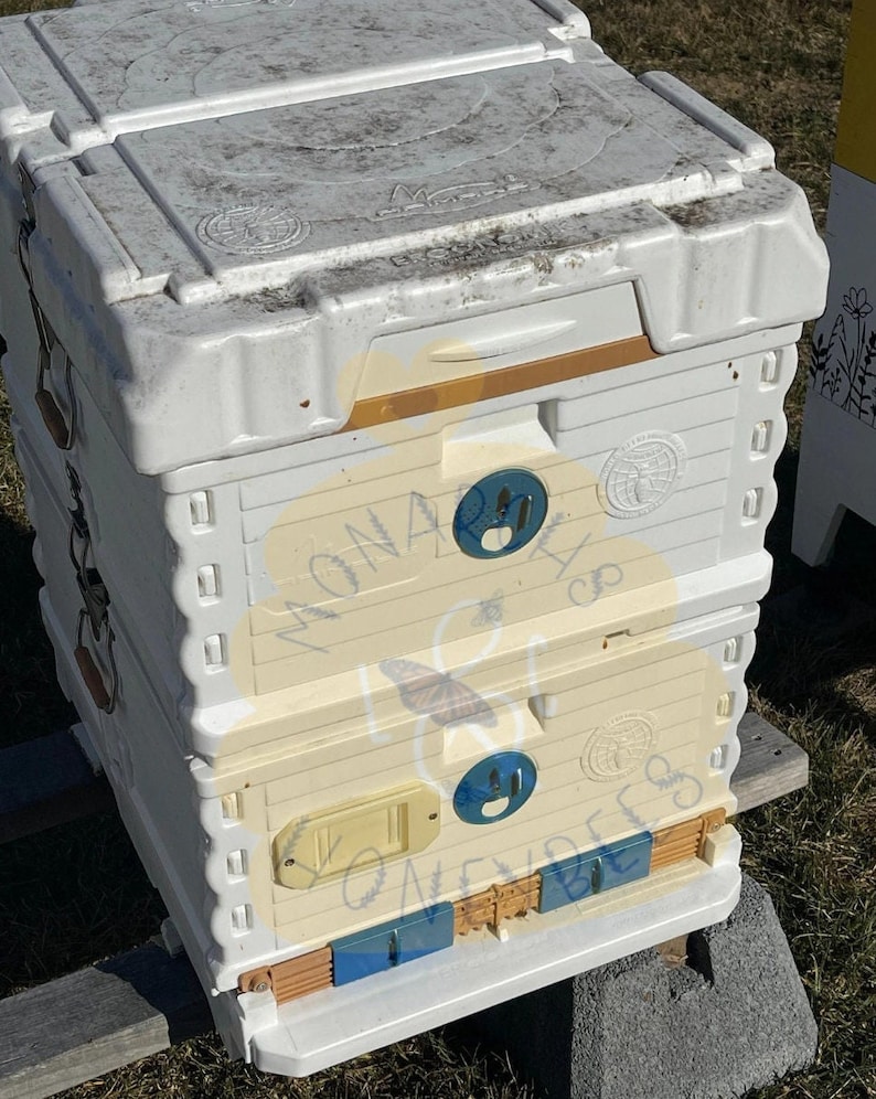 May include: A white beehive with a yellow and brown base. The beehive has a white lid with a circular design. The beehive is sitting on a gray concrete block.