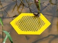 Set (2) Mini Floating Bee Island 3D Printed, Bee Waterer, Bee Water Station, Colorful Insect Waterer, Beekeeper Gift, Bird Bath, Pollinators