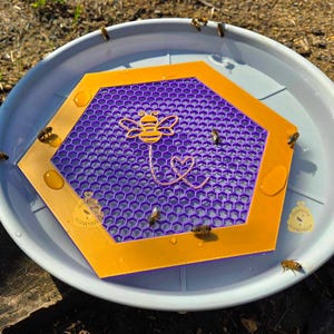 May include: A purple and gold bee-shaped water dish with a honeycomb design. The dish is filled with water and surrounded by bees.