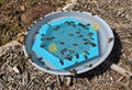 Floating Bee Island, Bee Waterer, Bee Water Station, Colorful Bee Insect Waterer, Beekeeper Gift, Bird Bath, Bee Raft, Pollinator Hydration