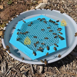 Floating Bee Island, Bee Waterer, Bee Water Station, Colorful Bee Insect Waterer, Beekeeper Gift, Bird Bath, Bee Raft, Pollinator Hydration