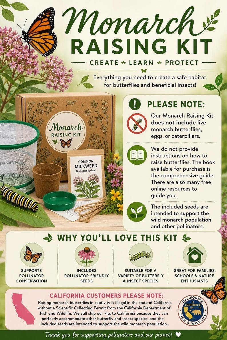 Kit para la cría de mariposas monarca con jaula de hábitat, semillas de algodoncillo y soportes, kit de ciencia STEM para niños. imagen 3
