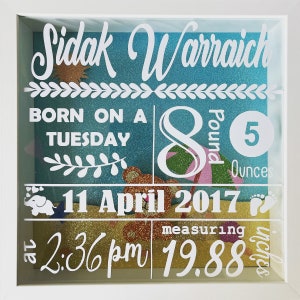 Boîte d'ombre des statistiques de naissance des enfants