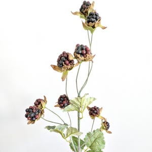 May include: A stem of artificial blackberries with green leaves and brown bracts. The berries are a mix of dark red and black, clustered together. The stem is held against a white background.