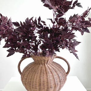 May include: A woven wicker vase with two handles holds dark burgundy-colored leafy branches. The vase has a bulbous body and a narrow neck. The arrangement sits on a white surface against a white background.