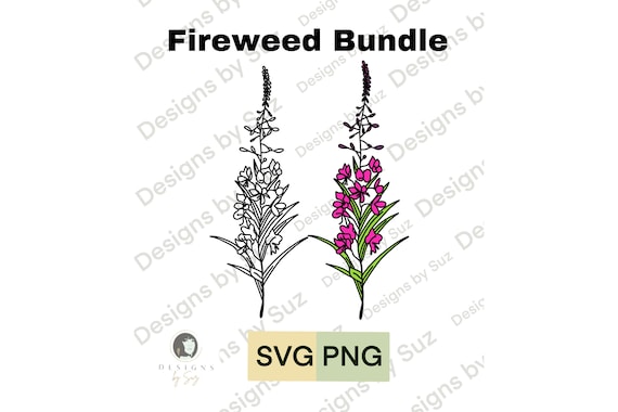 Fireweed SVG, PNG, Digital File Alaska Fireweed, Handdrawn Art | Sublimation