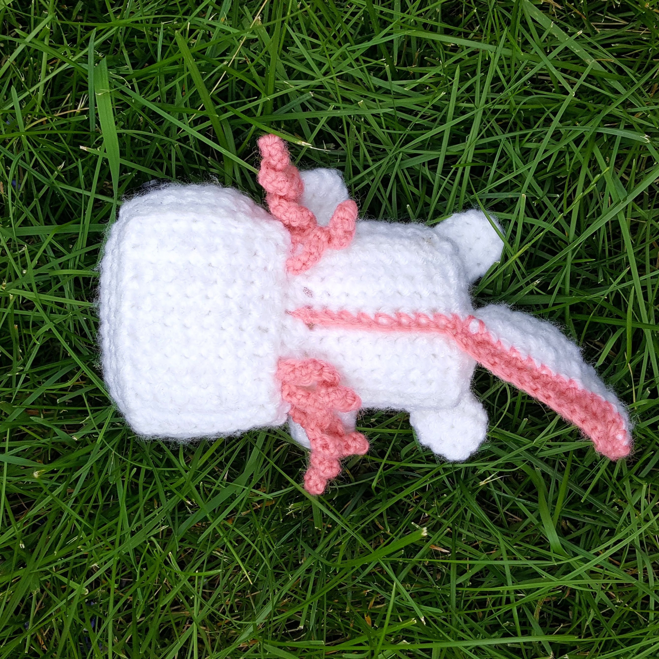 Minecraft Axolotl PDF Crochet Pattern Beginner Friendly Etsy