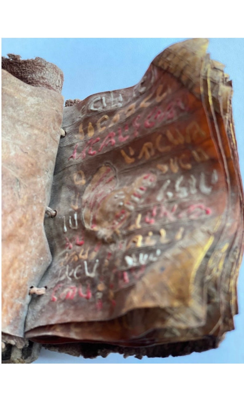 Puede incluir: Un primer plano de un viejo libro encuadernado en cuero con p&aacute;ginas llenas de texto manuscrito descolorido en tinta dorada, roja y blanca. El libro est&aacute; desgastado y tiene un aspecto r&uacute;stico.