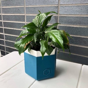 Self-watering 6&quot; Geometric Planter pot
