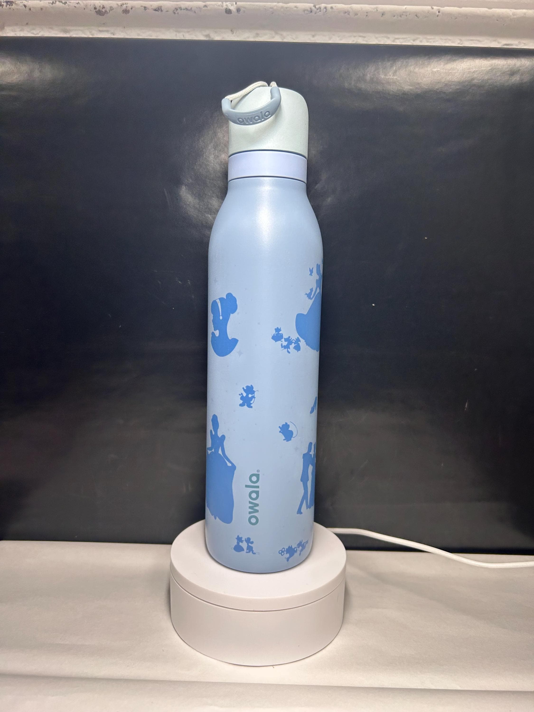Cinderella- Owala 24 Oz Freesip Bottle - Etsy