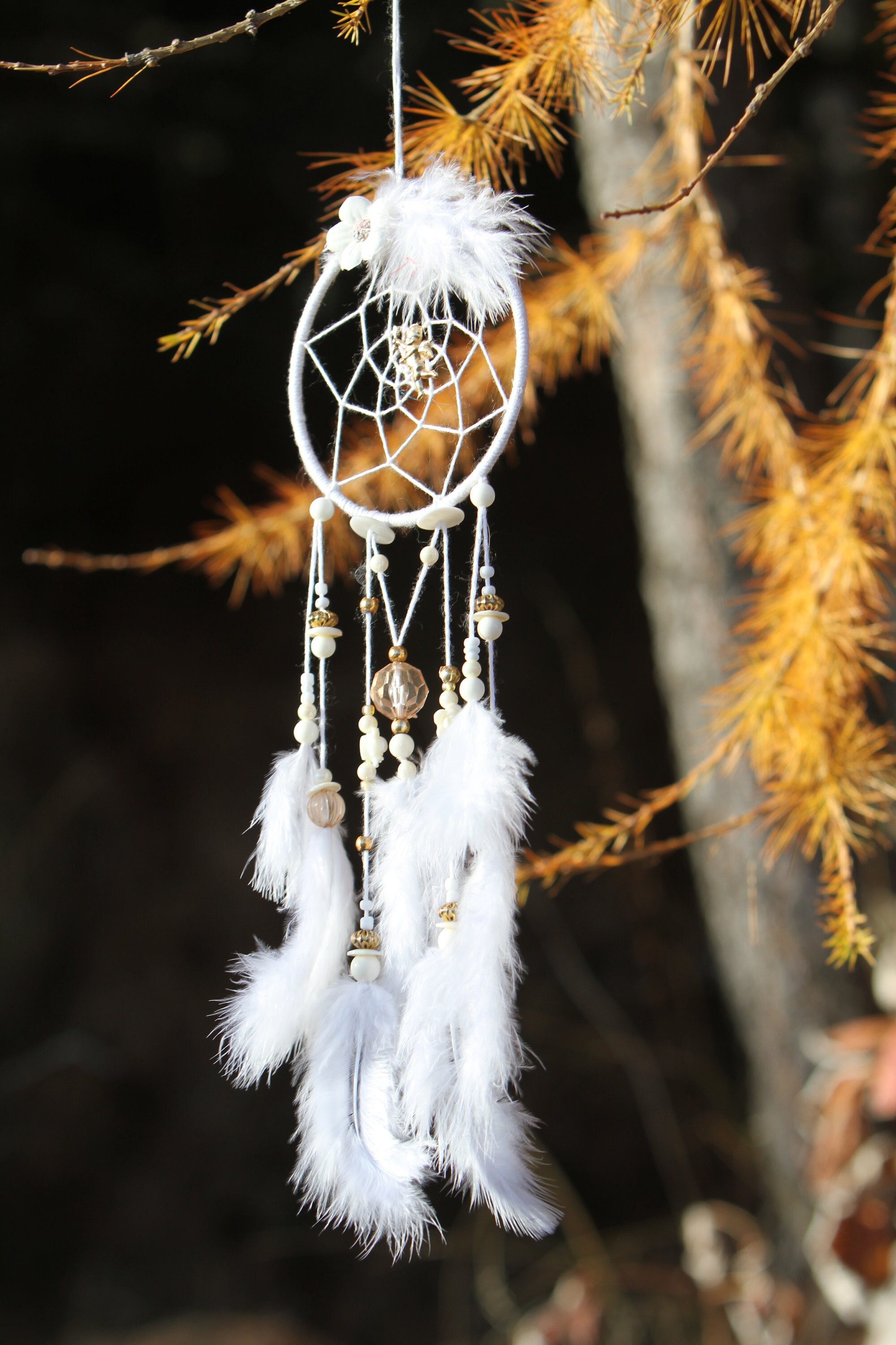 Rêves Blancs Angéliques