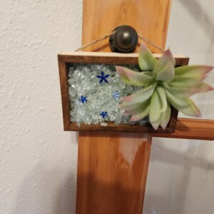 Wall Decor: Succulent Shadow Box